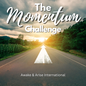 The Momentum Challenge (on-demand short course to help you achieve your goals)