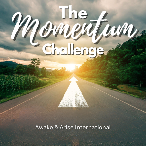 The Momentum Challenge (on-demand short course to help you achieve your goals)