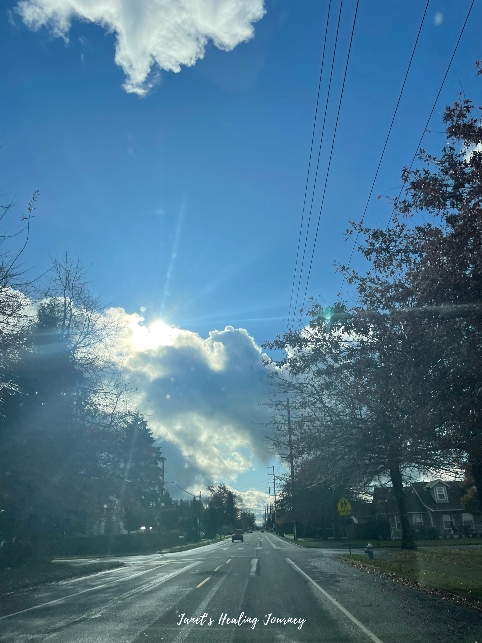 Janet's Healing Journey - Blog #16 I've Got You
